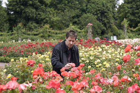 Paddy Considine - My Zinc Bed - Filmfotos