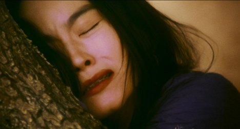 Brigitte Lin - Dong xie xi du - Z filmu