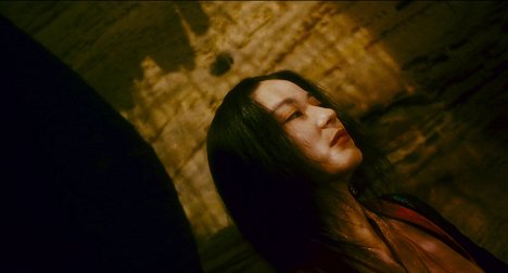 Brigitte Lin - Dong xie xi du - De la película
