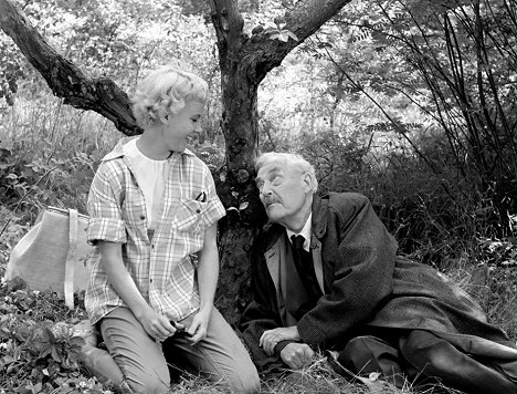 Bibi Andersson, Victor Sjöström - Wilde Erdbeeren - Filmfotos