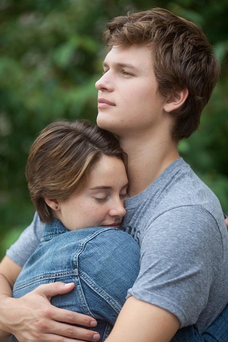 Shailene Woodley, Ansel Elgort - The Fault in Our Stars - Van film