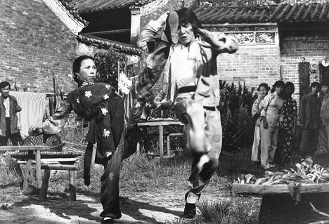 Linda Lin, Jackie Chan - El mono borracho en el ojo del tigre - De la película