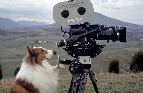 Howard - Lassie - Forgatási fotók