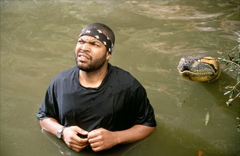 Ice Cube - Anaconda - Van film