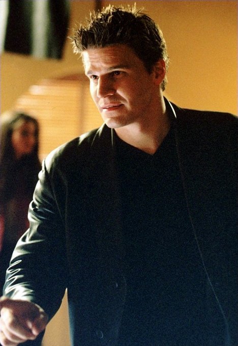 David Boreanaz - Angel - She - Photos