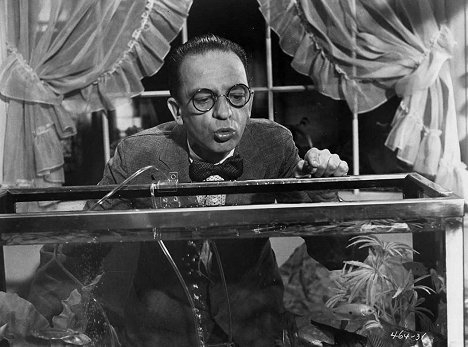 Don Knotts - The Incredible Mr. Limpet - Z filmu