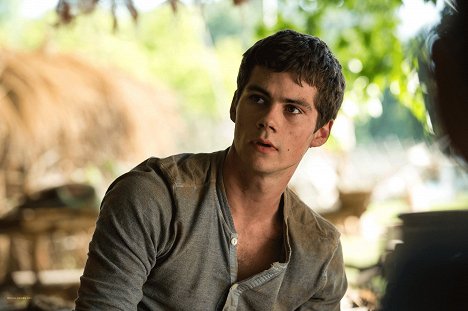 Dylan O'Brien - The Maze Runner - Photos