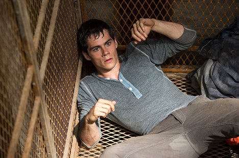 Dylan O'Brien - The Maze Runner - Lobby Cards