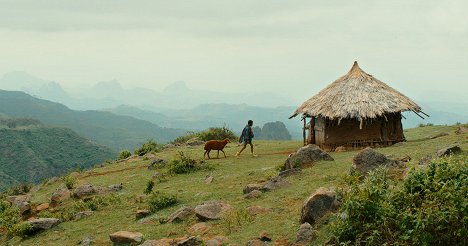Rediat Amare - Bárány - Filmfotók