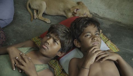 J. Vignesh, Ramesh - Kaakkaa Muttai - Filmfotók