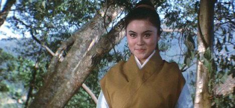 Polly Kuan - Wan li xiong feng - Z filmu