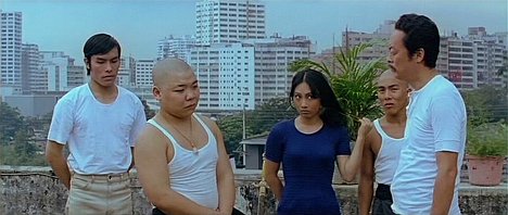 Carter Wong, Ming-Choi Ng, Angela Mao, Yuet-Sang Chin, Feng Tien - Ma lu xiao ying xiong - Film