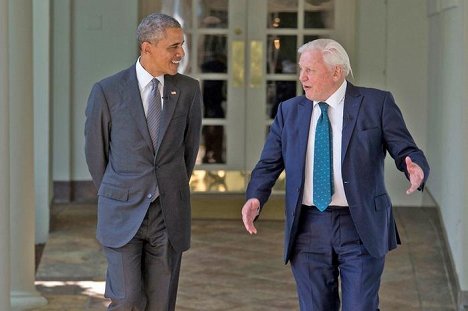 Barack Obama, David Attenborough - David Attenborough Meets President Obama - Photos
