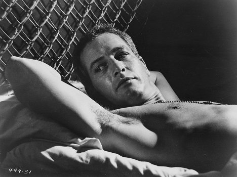 Paul Newman - Nieugięty Luke - Z filmu
