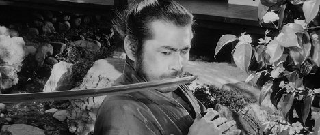 Toshirō Mifune - Sanjuro - Samuraj znikąd - Z filmu