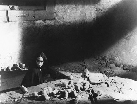 Isabelle Adjani - Nosferatu, o Fantasma da Noite - Do filme