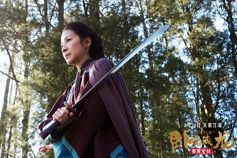 Michelle Yeoh - Tigre y dragón 2: La espada del destino - Fotocromos