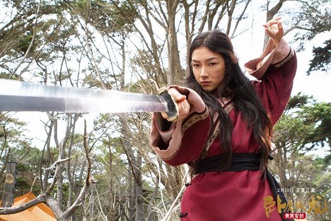 Natasha Liu Bordizzo - Tigre y dragón 2: La espada del destino - Fotocromos