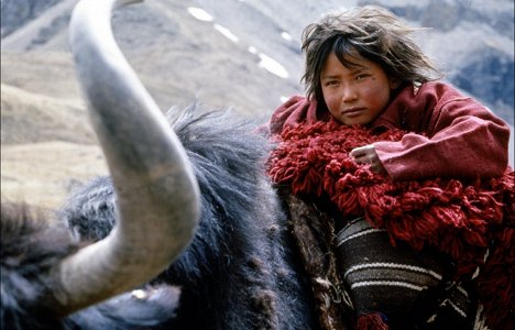 Karma Wangel - Himalaya - L'enfance d'un chef - Film