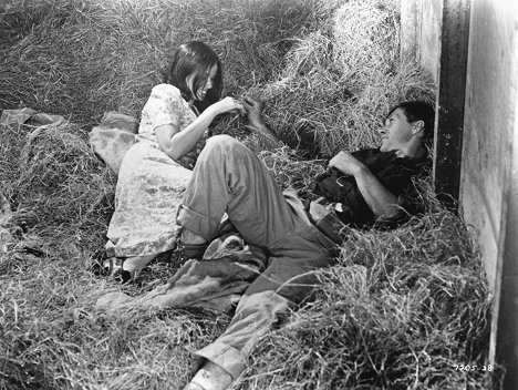 Barbara Hershey, David Carradine - Boxcar Bertha - Photos