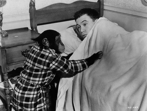 Tommy Kirk - The Monkey's Uncle - Photos
