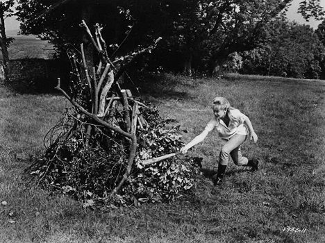 Hayley Mills - The Chalk Garden - Filmfotók