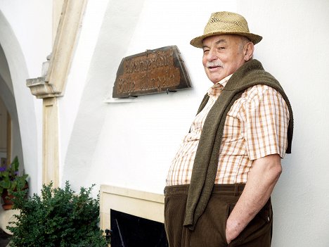 Heinrich Schweiger - Der Winzerkönig - Am Scheideweg - Kuvat elokuvasta