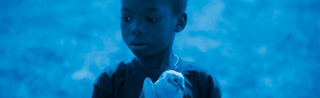 Bafiokadié Potey - Blue Bird - Van film
