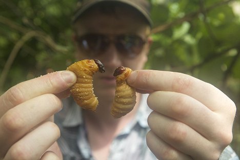 Ben Reade - Bugs - Insekten auf dem Teller - Dreharbeiten