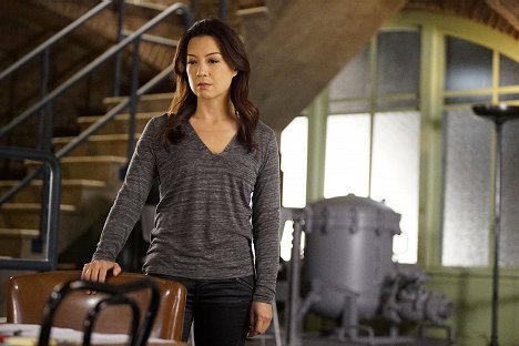 Ming-Na Wen - Marvel's Agentes de S.H.I.E.L.D. - Watchdogs - De la película