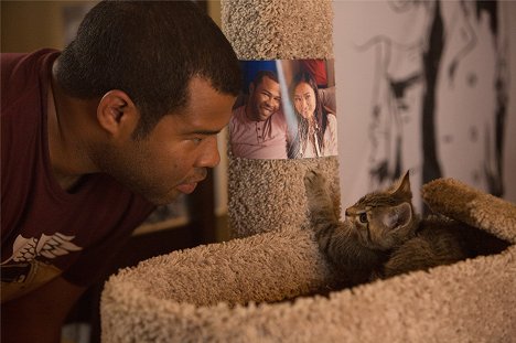 Jordan Peele - Keanu: Mačacia gangsterka - Z filmu