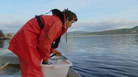 Severin Rønes - Severin - Photos