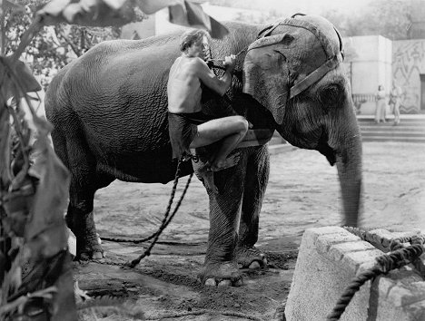 Lex Barker - Tarzan and the Slave Girl - Photos