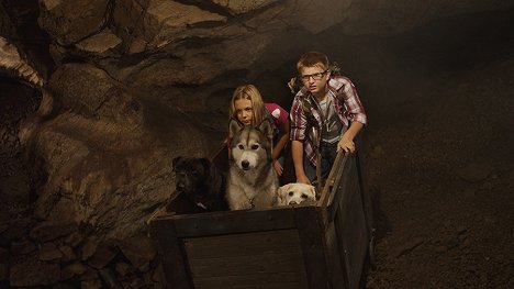 Averie South, J.D. Hoppe - Timber the Treasure Dog - Van film