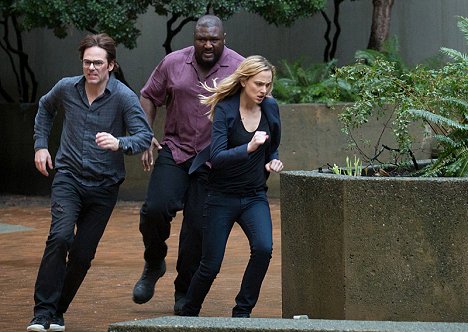 Billy Burke, Nonso Anozie, Nora Arnezeder - Zoo - The Day of the Beast - Photos