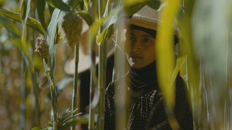 Reham Mohammed - Ana Nojoom bent alasherah wamotalagah - Kuvat elokuvasta