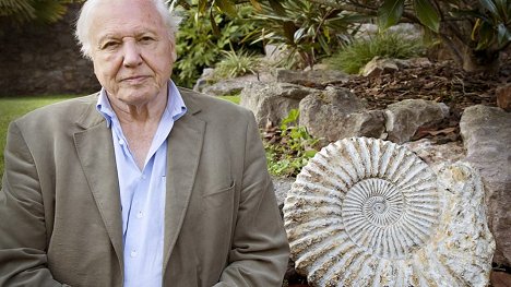 David Attenborough - David Attenborough - A természet csodái - Filmfotók
