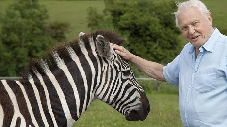 David Attenborough - David Attenborough - A természet csodái - Filmfotók