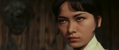 Feng Hsu - A Touch Of Zen - Film