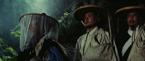 Feng Hsu, Ying Bai, Han Hsieh - Xia nü - Van film
