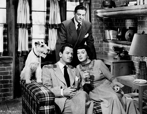 Gig Young, Robert Cummings, Rosalind Russell - Tell It to the Judge - Film