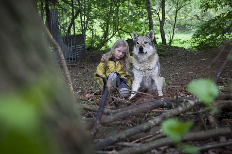 Jette Jungjohann - Bella Block - Hundskinder - Van film