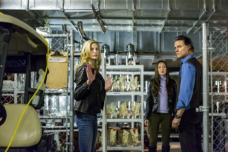 Brooke Burns, Crystal Lowe, Dylan Neal - The Gourmet Detective: A Healthy Place to Die - Photos