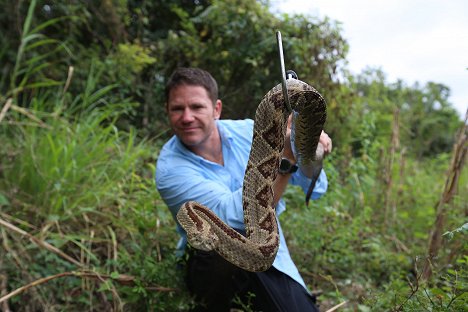 Steve Backshall - Fierce! - Photos