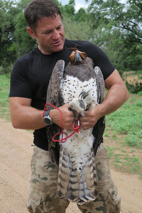 Steve Backshall - Divocí! - Z filmu