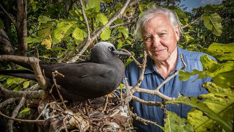 David Attenborough - Great Barrier Reef with David Attenborough - Z filmu