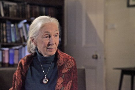 Jane Goodall - Velké momenty evoluce - Z filmu