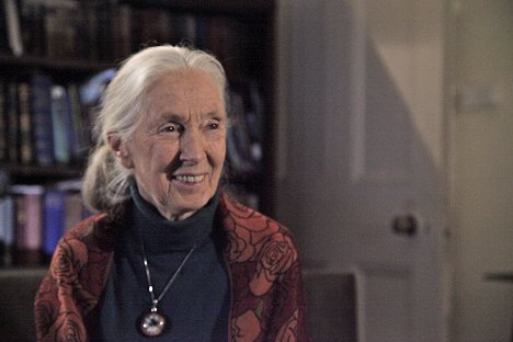 Jane Goodall - Terra X: Sternstunden der Evolution mit Dirk Steffens - Kuvat elokuvasta