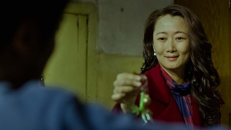 Tao Zhao - Mountains May Depart - Van film