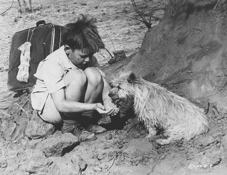 Wynand Uys - Adventure in the Red Desert - Photos